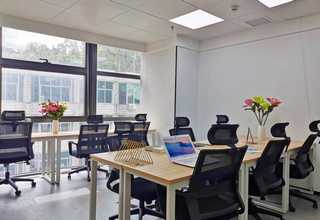 滁州称重给料机公司