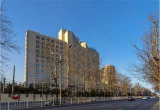 甘肃反应型消光粉厂家直销